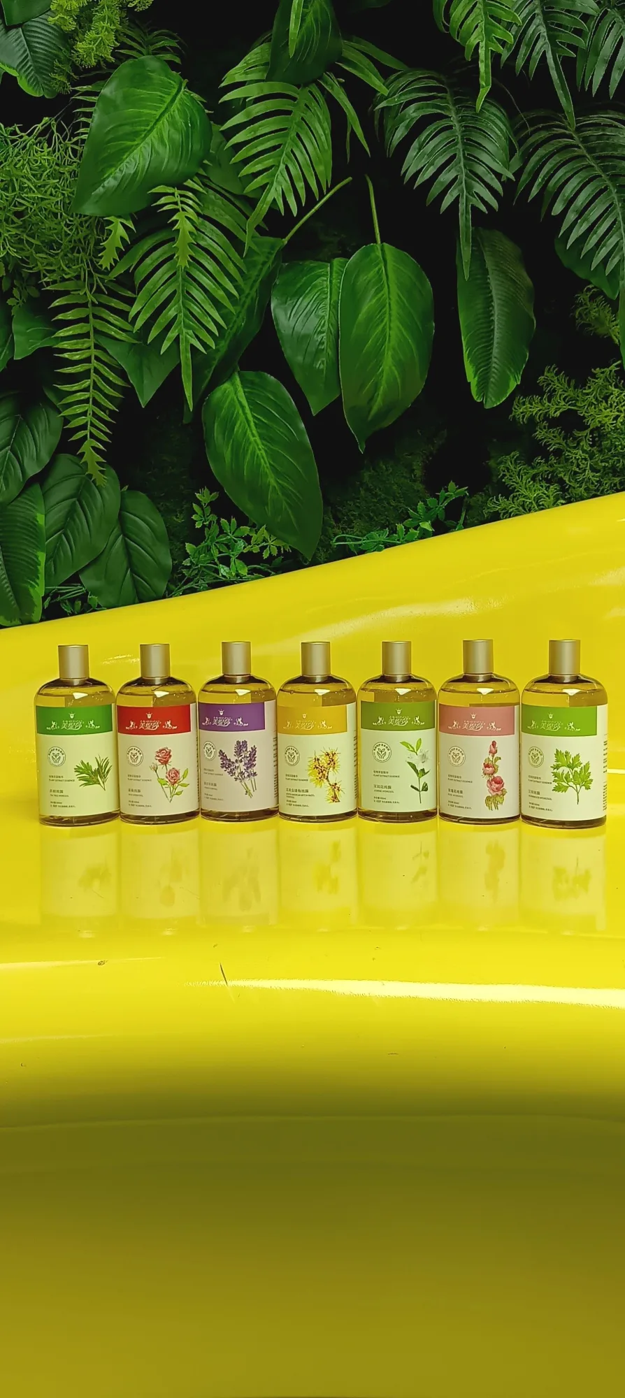 美缇莎北美金缕梅纯露，500ml，无规格箱，产品重0.55公斤，2029年4月1盒 图片 8